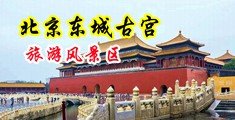美女美屄中国北京-东城古宫旅游风景区