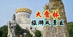啊啊啊啊啊，，快草我免费观看中国浙江-绍兴大香林旅游风景区